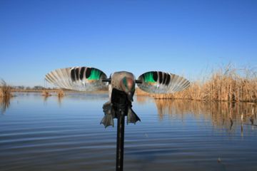 Image of Mojo Green Wing Teal Decoy, Elite Series HW2474
