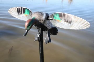 Image of Mojo Green Wing Teal Decoy, Elite Series HW2474