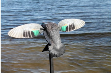 Image of Mojo Green Wing Teal Decoy, Elite Series, HW2474