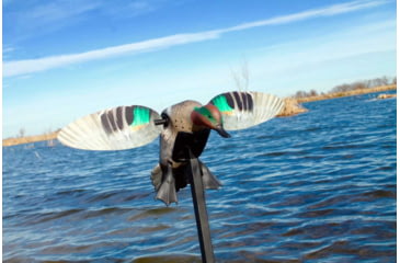 Image of Mojo Green Wing Teal Decoy, Elite Series, HW2474