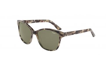 Image of Morgan 207170 Progressive Brown Frame Brown Lens
