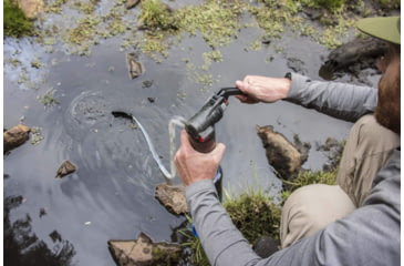 Image of MSR Guardian Purifier Pump