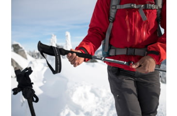 Image of MSR Poles Dynalock Explore Al3-sec Trekking Poles