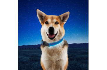 Image of Nite Ize NiteDog Rechargeable LED Collar, Blue/Blue, Large, NDCRL-03-R3