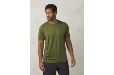 Image of Prana Hardesty Short Sleeve Mens, Fern Green Stripe, Small, M11170402-FEGS-S