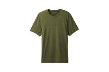 Image of prAna Hardesty Short Sleeve Mens, Fern Green Stripe, Small, M11170402-FEGS-S