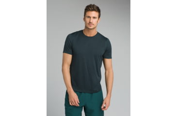 Image of prAna Hardesty Short Sleeve T-Shirt - Men's, Highland Green Stripe, Large, M11170402-HGST-L