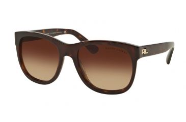 Image of Ralph Lauren RL8141 Bifocal Prescription Sunglasses RL8141-50033B-56 - Lens Diameter 56 mm, Frame Color Dark Havana