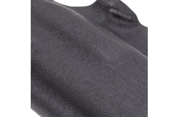 Image of Safariland Species SIG Sauer P365 IWB Holster
