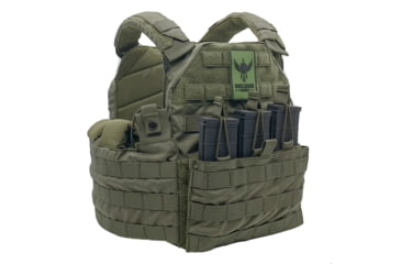 Image of Shellback Tactical SF Plate Carrier, Ranger Green, Small, GSA-SF-RG-SM