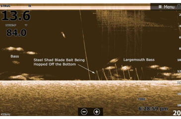 Image of SteelShad 3/8 oz Blade Bait, Sexy Shad, SSL-10032