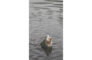 Image of SteelShad XL Bait, 3/4 Oz, Silver/Chrome, SSL-10012
