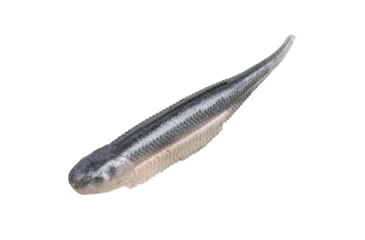 Image of Strike King Spotlight Shim-E Minnow Softbait, 6 pack, 3in, Pro Blue Red Pearl, 12-36023