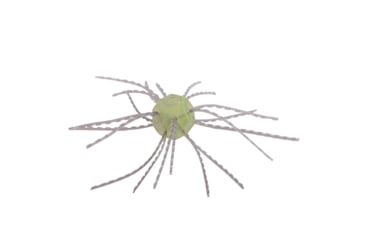 Image of Strike King Tumbleweed Salted Softbait, 4 pack, 3in, Lemon Drop, 12-36264