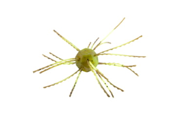 Image of Strike King Tumbleweed Salted Softbait, 4 pack, 3in, Summer Craw, 12-36256