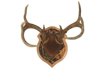 Image of Walnut Hollow Deluxe Antler, Display Kit Camo 40591