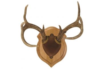 Image of Walnut Hollow Deluxe Antler, Display Kit Oak 40755