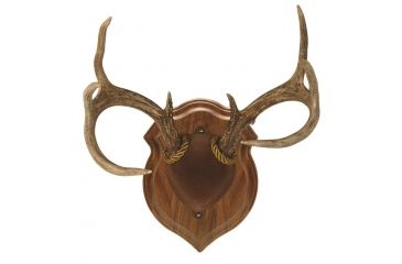 Image of Walnut Hollow Deluxe Antler, Display Kit Walnut 40756