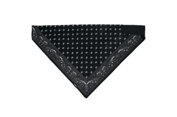 Image of Bandanna