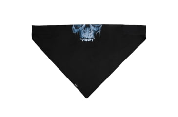 Image of Bandanna