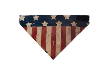 Image of Bandanna