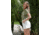 Body Glove Hey You High-Waisted Pleated Shorts - Cream BD868D9B, 9, CREAM, JS1290-104-9