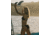 Body Glove Smoothies Tie-Side Bikini Bottom - Black 294E2BFE, XS, Black, 3950634-068-XS