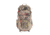 Allen Arroyo 3200 Daypack, Camo 19288