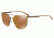 Arnette HUNDO-P1 AN3073 Sunglasses 693/F9-63 - Brown Frame, Brown Mirror Bronze Lenses