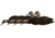 Avian X Fusion Pack AXF Ducks Decoy, Black, AVX-AVX8077