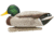 Avian X Top Flight Duck Decoy, Open Water Mallard 6 pk., 8060, AVX-AVX8060