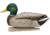 Avian X Top Flight Duck Decoy, Open Water Mallard 6 pk., 8060, AVX-AVX8060