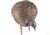 Avian X Turkey Decoy, Feeder, AVX-AVX8007