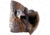 Avian X Turkey Decoy, Lay Down Hen, AVX-AVX8011