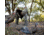 Avian X Turkey Decoy, Lay Down Hen, AVX-AVX8011