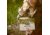Backpackers Pantry Mango Sticky Rice - 2 Servings