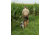 Ball and Buck Active + Field Pant - Mens, Loden, 32, 233110301-32
