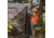 Barronett Blinds Radar 2 Person Hub Blind, Backwoods Camo, RA200BW