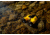 Barska 7x50mm Floatmaster Floating Porro Prism Waterproof Binoculars,Yellow, AB12738