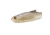 Bass Mafia Daingerous Swimbait, Blackback Shad, 6in, BMD-6-BBS