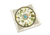 Battlbox.Com Wazoo Survival Gear Forager Bandana with Pictures and Facts 12 Plants &amp; Fungus, BAN-FG-SG