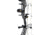 Bear Archery The Hunting Public Adapt 2 RTH Package BEA2226