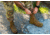 Belleville Hot Weather Steel Toe Boot - Mens, Coyote, 10, Wide, C300ST 100W
