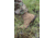Belleville Khyber Hot Weather Multi-Terrain Boot - Mens, Coyote, 9, Wide, TR550 090W