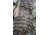 Belleville Khyber Hot Weather Multi-Terrain Boot - Mens, Coyote, 9, Wide, TR550 090W