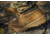 Belleville Waterproof Flight &amp; Combat Boot - Mens, Coyote, 3, Narrow, C790 030N