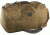 Beretta Waxwear Duffle Bag Bs1320610832