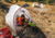 Big Agnes Tiger Wall UL2 Solution Dye Tent, Gray/Yellow, TTWUL221