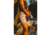 Black Diamond Ethos Shorts - Womens, White Oak, Medium, AP7501572019MED1