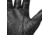 Black Diamond Torque Gloves, Black, Large, BD8011480002LRG1